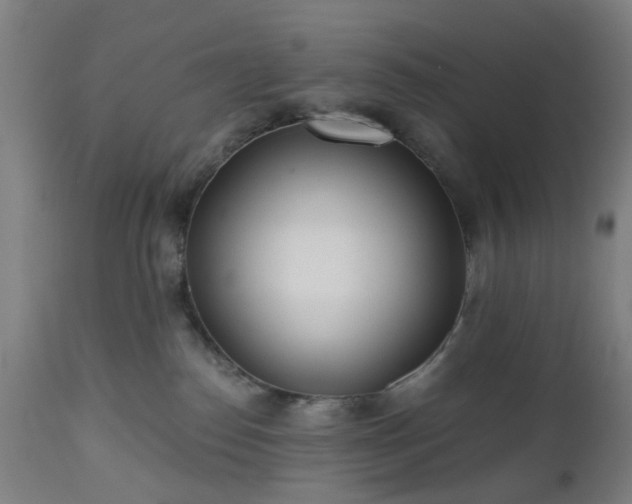 X0000112520186200908241454