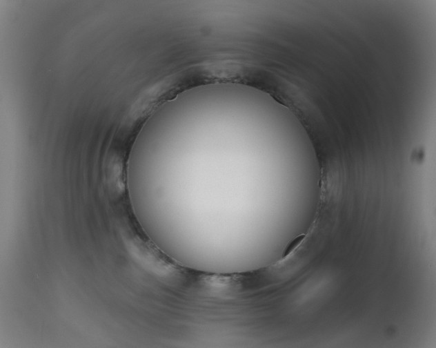 X0000112520187200908241454