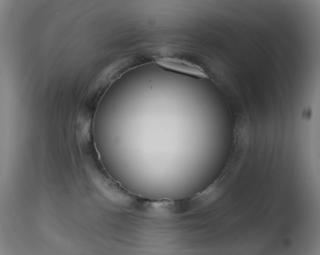 X0000112520188200908241454