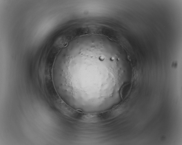 X0000112520189200908241454