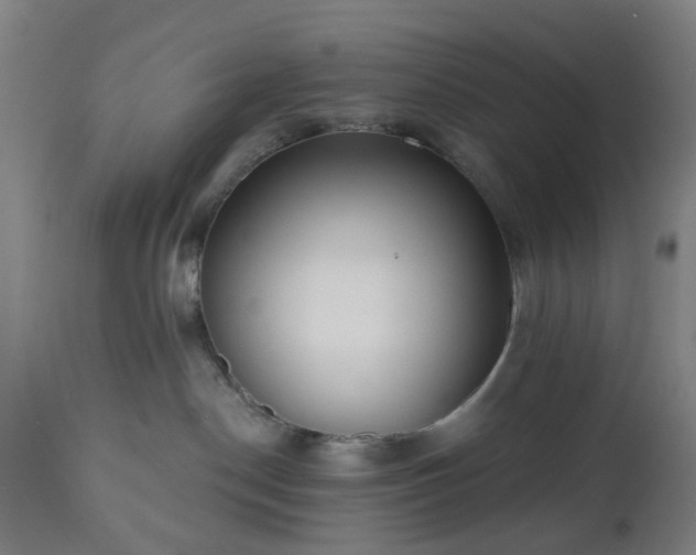 X0000112520190200908241454