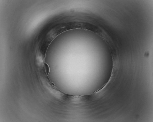 X0000112520191200908241454