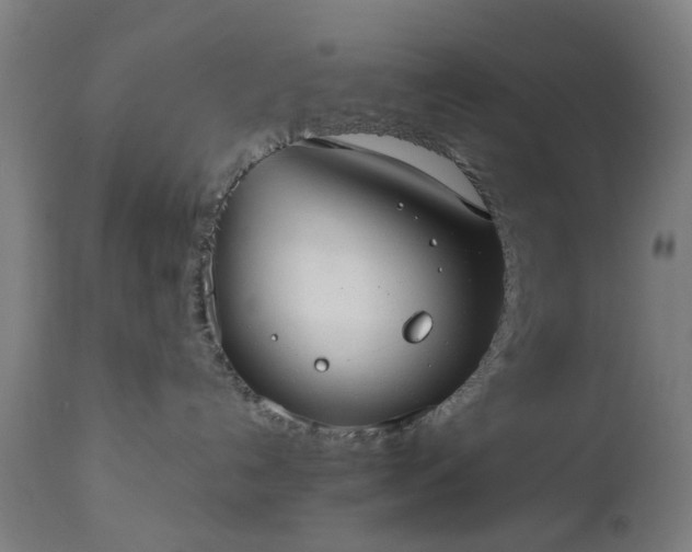 X0000112520192200908241454