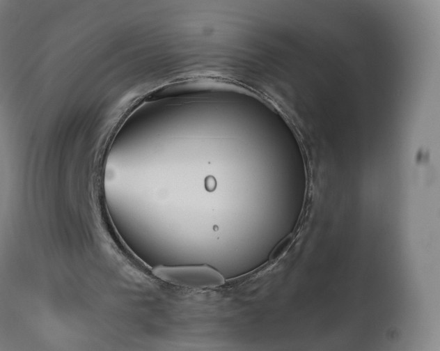 X0000112520193200908241453