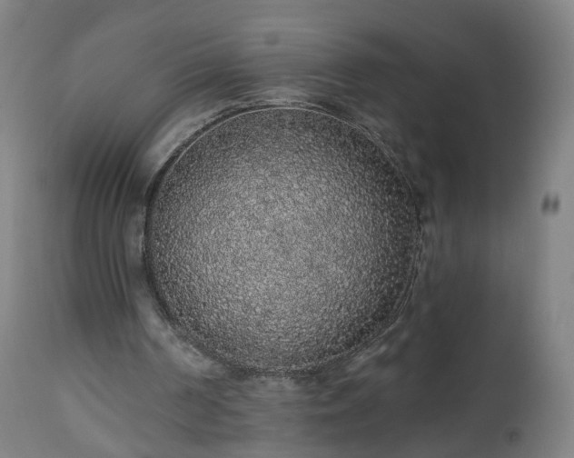 X0000112520194200908241453