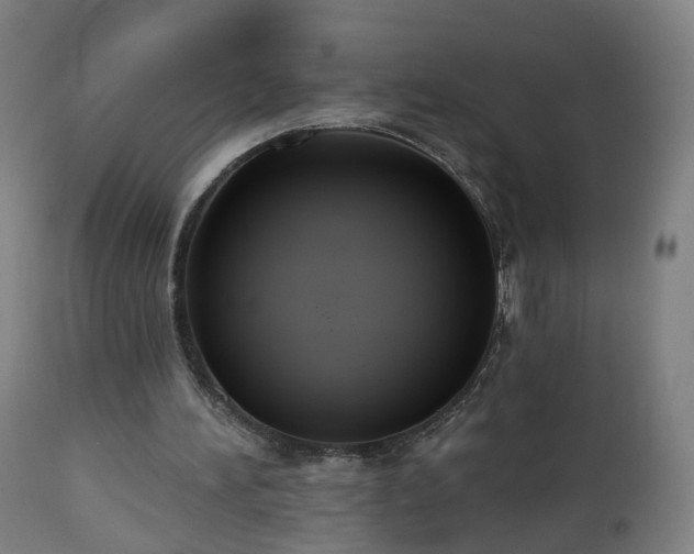 X0000112520196200908241453