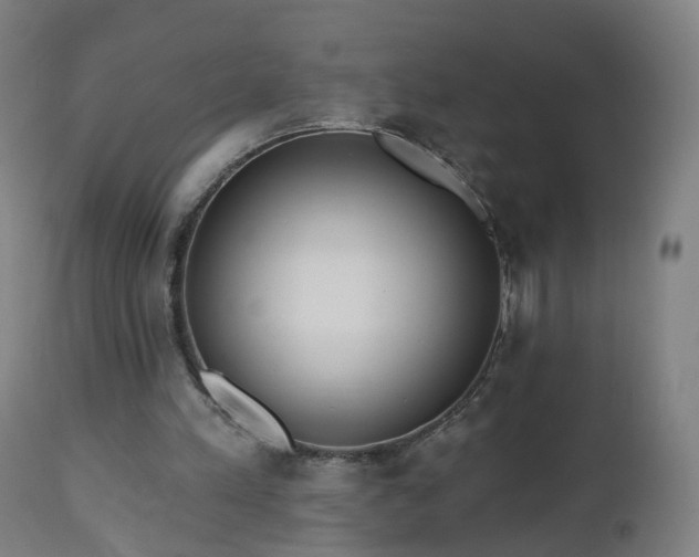 X0000112520197200908241453