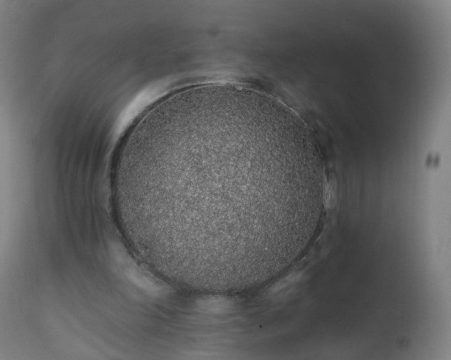 X0000112520198200908241453