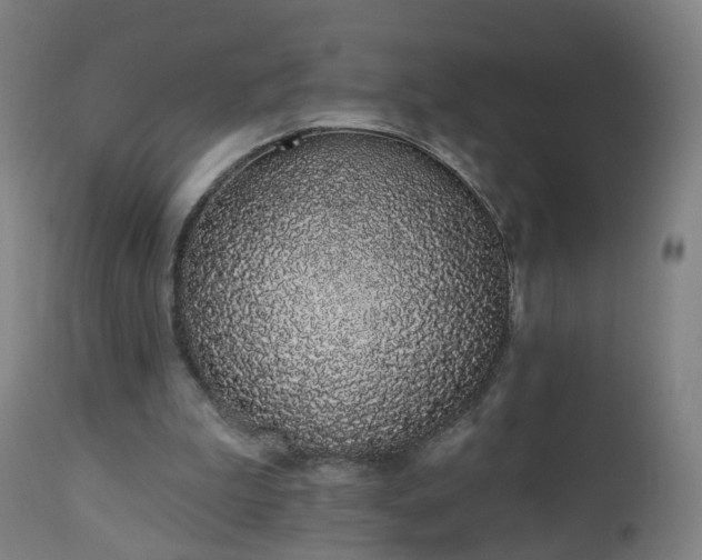 X0000112520199200908241453
