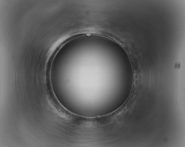 X0000112520200200908241453