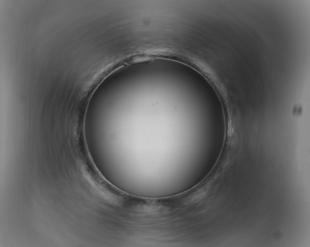 X0000112520201200908241453
