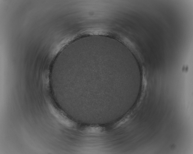 X0000112520202200908241453
