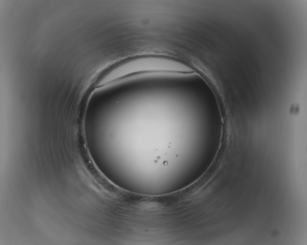 X0000112520203200908241453