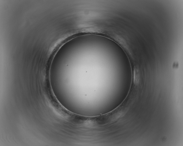 X0000112520204200908241453