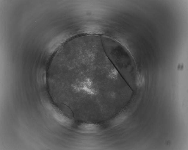 X0000112520205200908241453