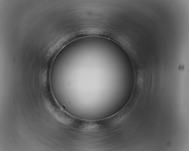 X0000112520206200908241453