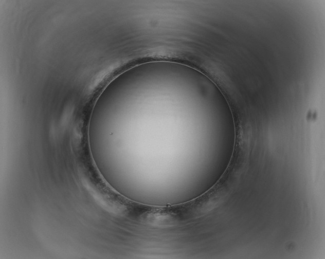 X0000112520208200908241453