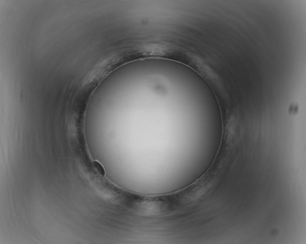 X0000112520209200908241453
