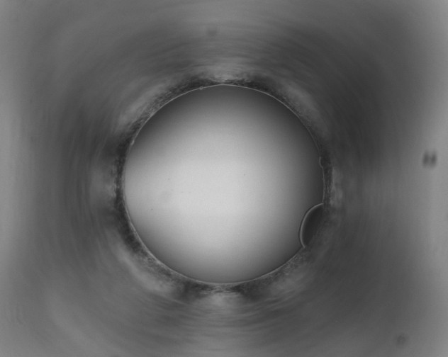 X0000112520210200908241453