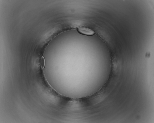 X0000112520211200908241453