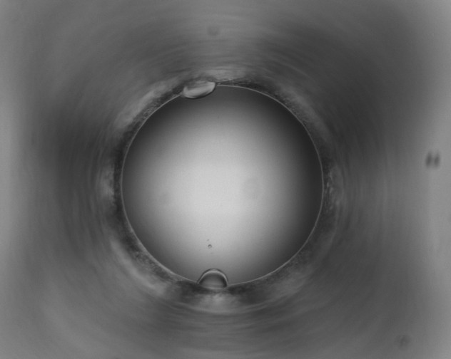 X0000112520212200908241453