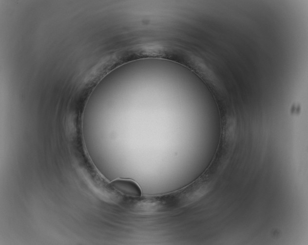 X0000112520213200908241453