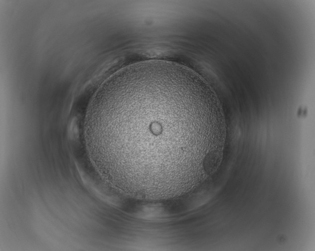 X0000112520214200908241453
