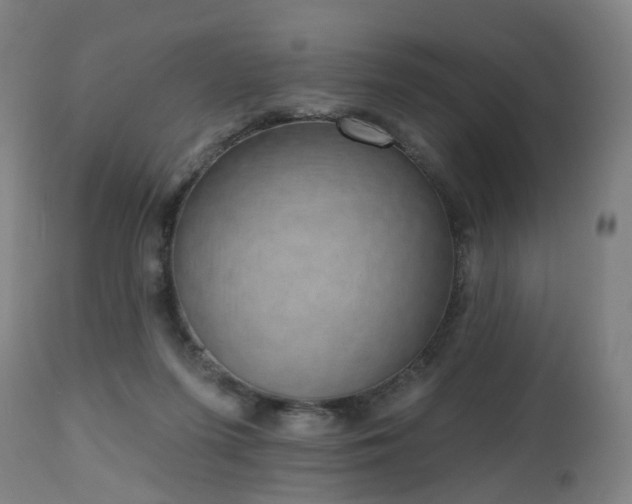 X0000112520215200908241453