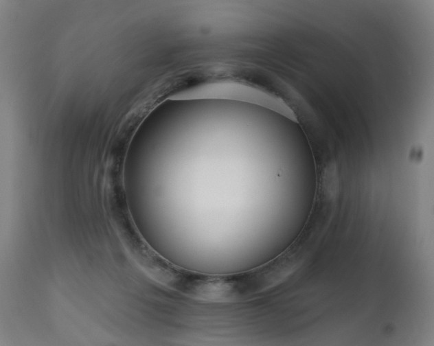 X0000112520217200908241453