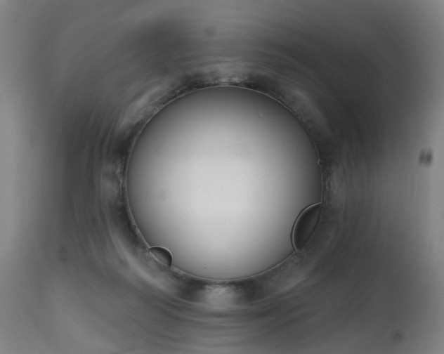 X0000112520218200908241453