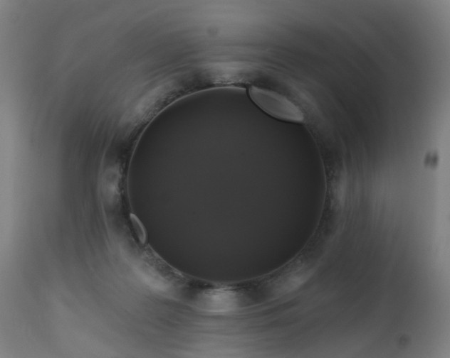 X0000112520219200908241453