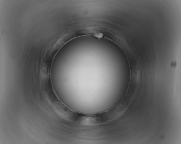 X0000112520220200908241453