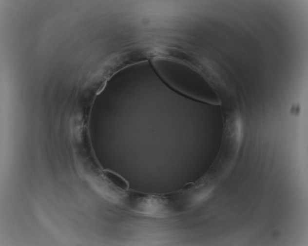 X0000112520223200908241453