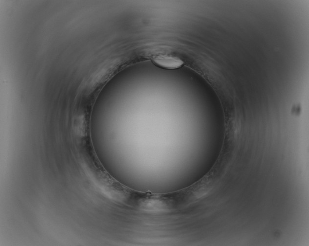 X0000112520224200908241453