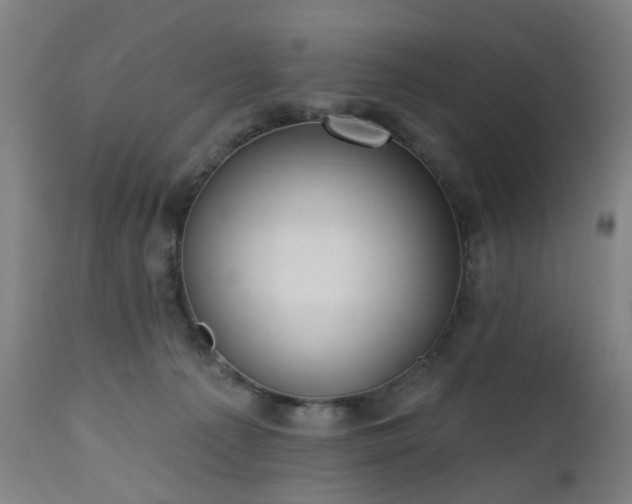 X0000112520225200908241453