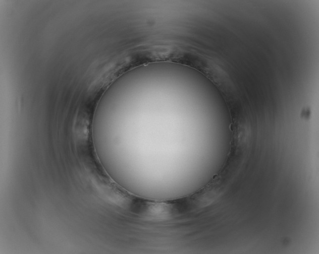 X0000112520226200908241453