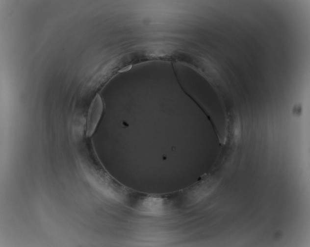 X0000112520227200908241453