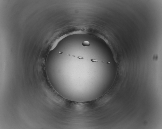 X0000112520229200908241453