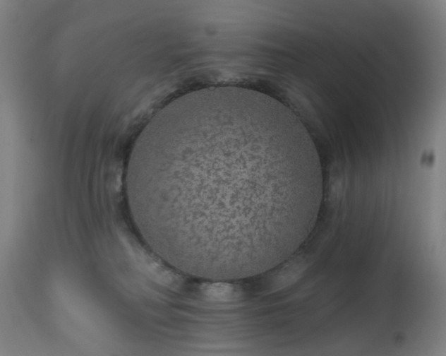 X0000112520230200908241453