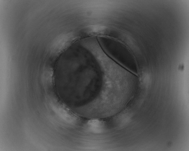 X0000112520231200908241453