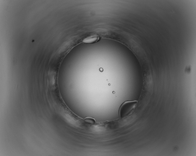 X0000112520232200908241453