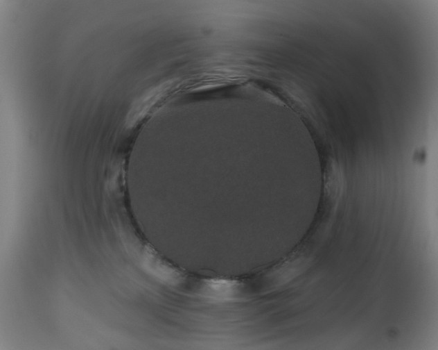 X0000112520233200908241453