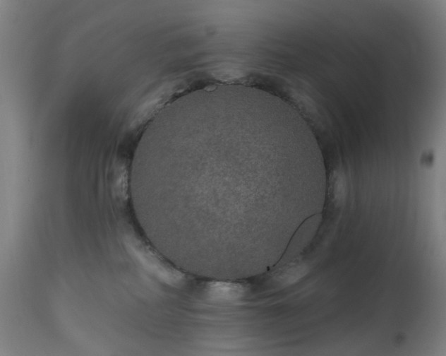 X0000112520234200908241453