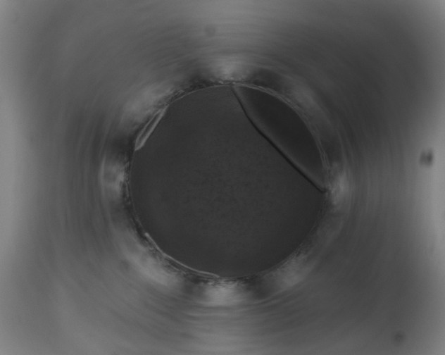 X0000112520235200908241453