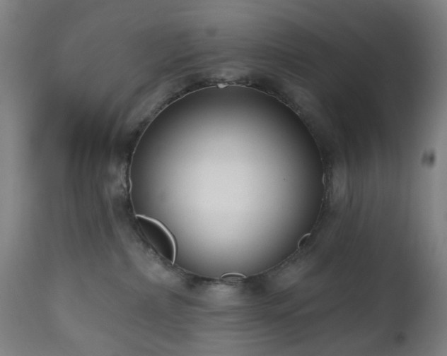 X0000112520236200908241453
