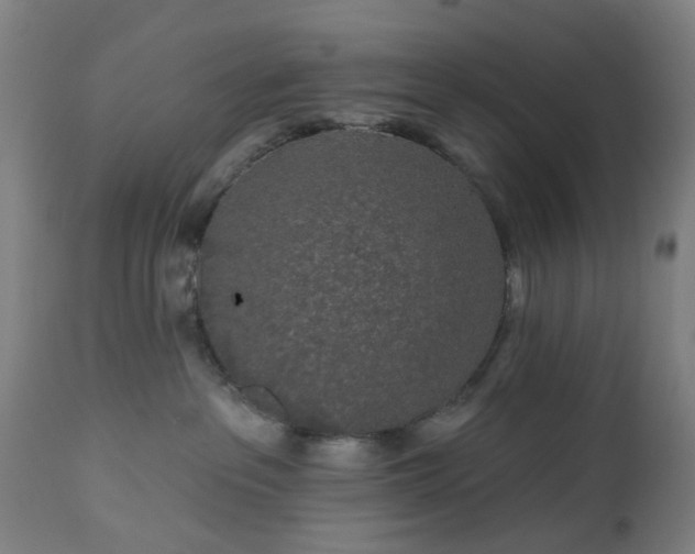 X0000112520237200908241453
