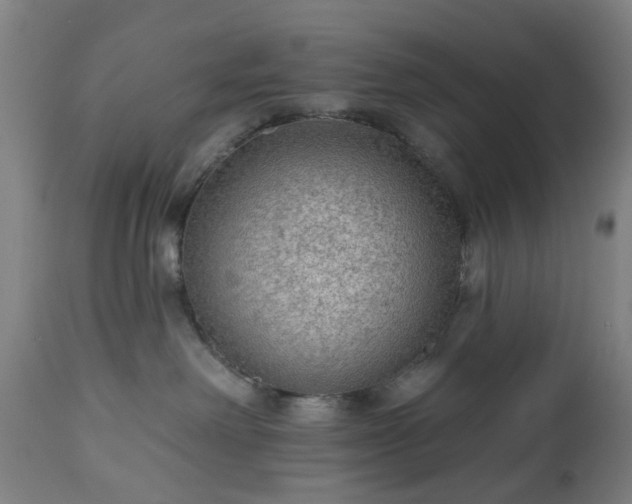 X0000112520238200908241453