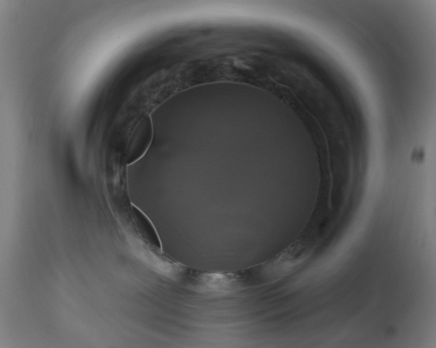 X0000112520239200908241453