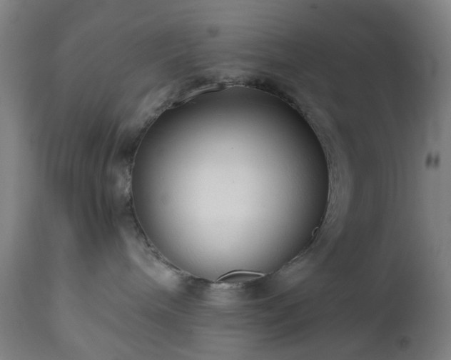 X0000112520240200908241453