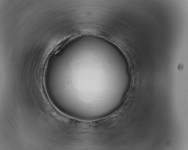 X0000112520241200908241452